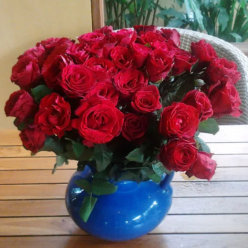 Roses
